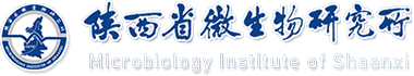 陕西省微生物研究所